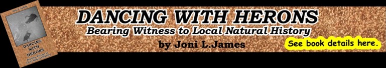 See Dancing With Herons Book Details