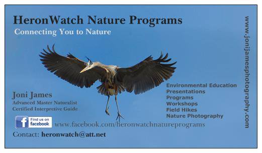 Nature Education Programs