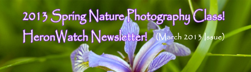 2013 Spring Nature Photography Class! HeronWatch Newsletter! (March 2013 Issue)