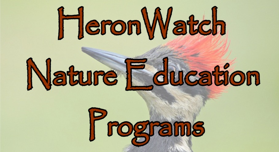 See HeronWatch Nature Education Programs List